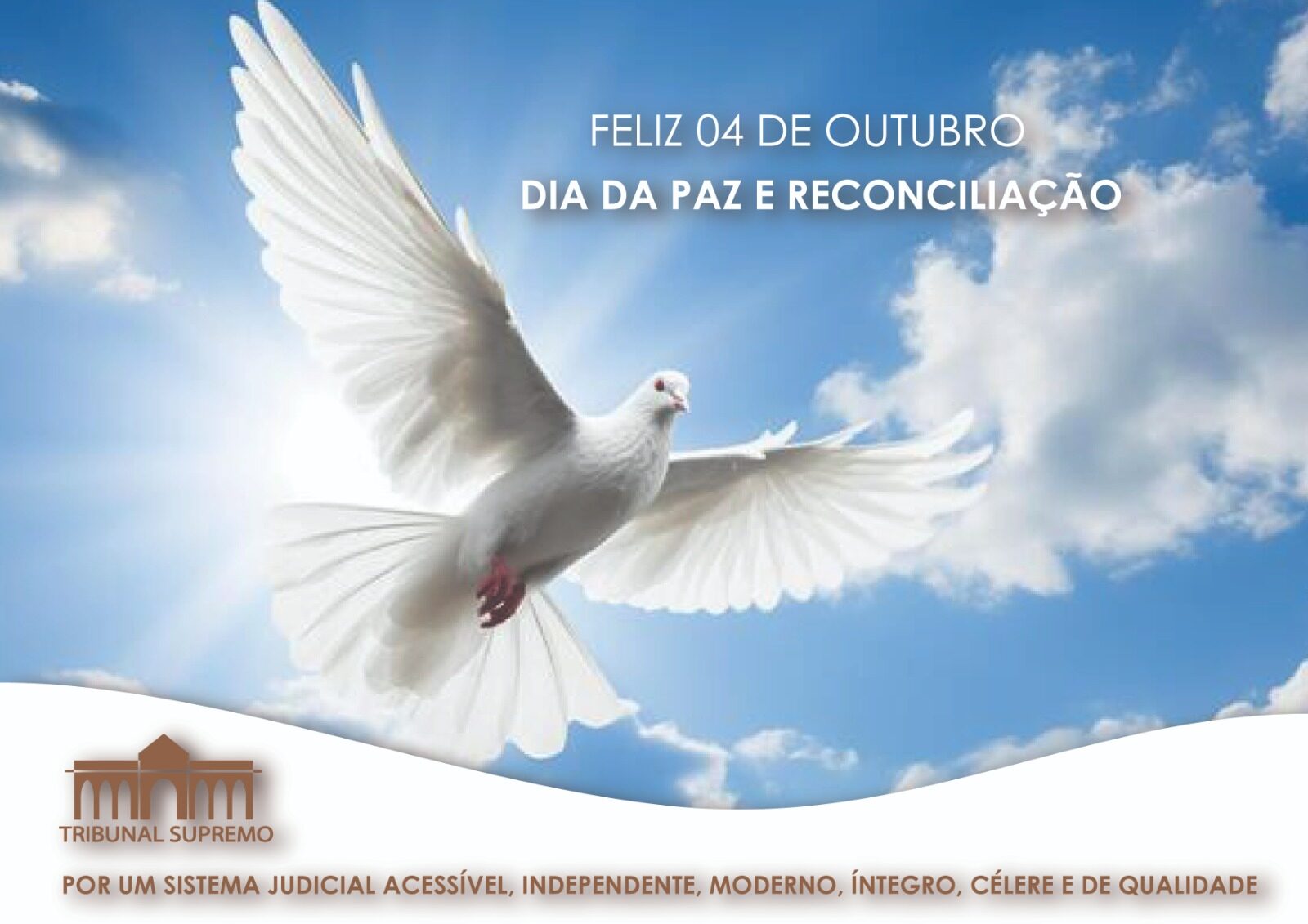 Whatsapp Image 2025 10 03 At 12.36.58